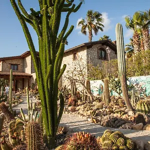 Casa rural Garden Cactus