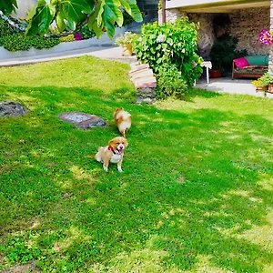 https://casa-vacanze-la-casa-del-sole.it-lombardy.com